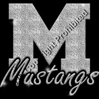 GLT61 SILVER GLITTER Thumbnail